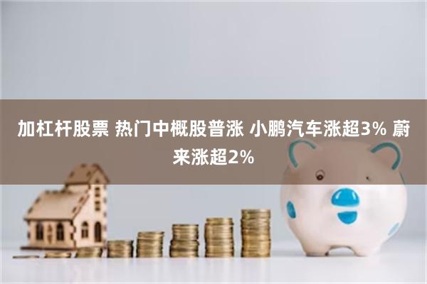 加杠杆股票 热门中概股普涨 小鹏汽车涨超3% 蔚来涨超2%