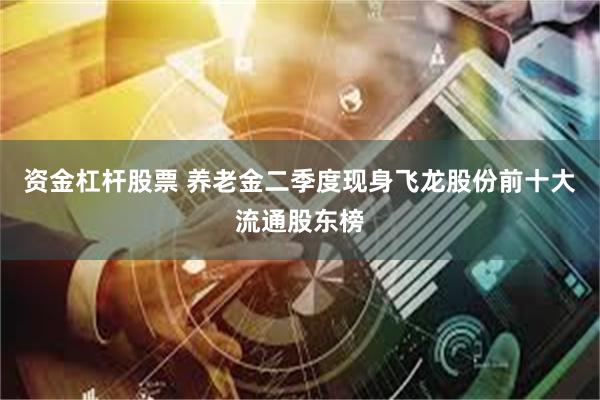 资金杠杆股票 养老金二季度现身飞龙股份前十大流通股东榜