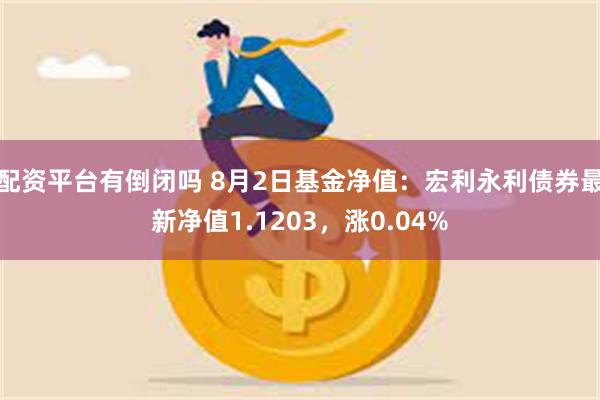 配资平台有倒闭吗 8月2日基金净值：宏利永利债券最新净值1.1203，涨0.04%