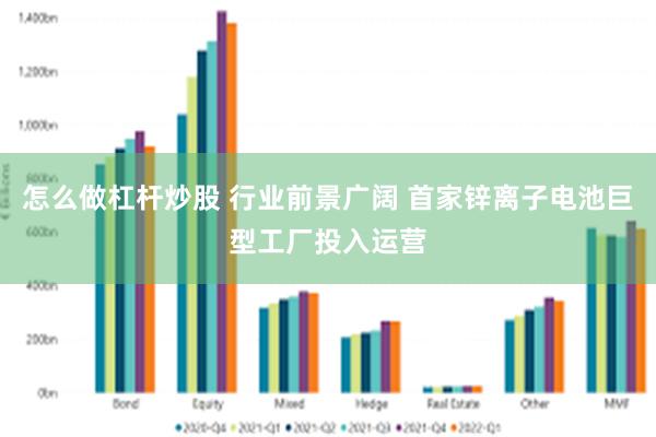 怎么做杠杆炒股 行业前景广阔 首家锌离子电池巨型工厂投入运营