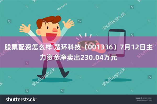 股票配资怎么样 楚环科技（001336）7月12日主力资金净卖出230.04万元