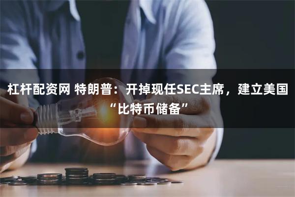 杠杆配资网 特朗普：开掉现任SEC主席，建立美国“比特币储备”