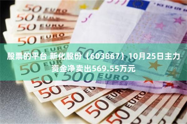 股票的平台 新化股份（603867）10月25日主力资金净卖出569.55万元