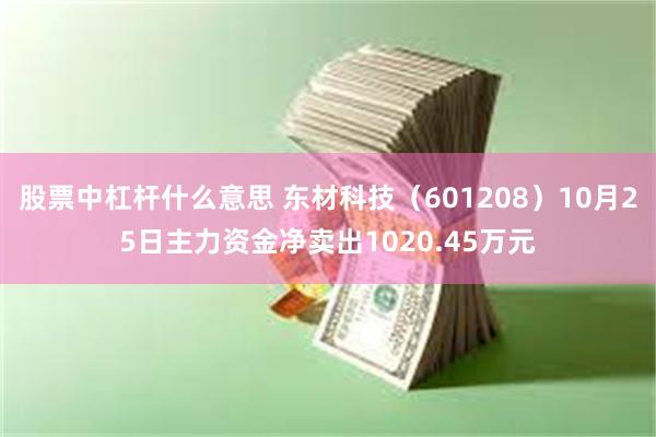 股票中杠杆什么意思 东材科技（601208）10月25日主力资金净卖出1020.45万元