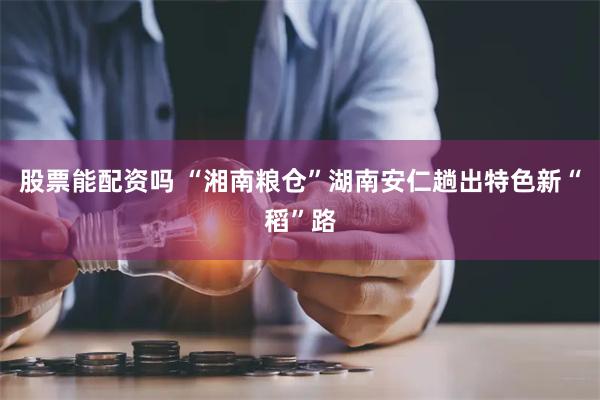 股票能配资吗 “湘南粮仓”湖南安仁趟出特色新“稻”路