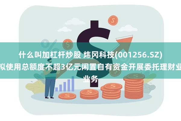 什么叫加杠杆炒股 炜冈科技(001256.SZ)：拟使用总额度不超3亿元闲置自有资金开展委托理财业务