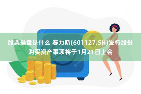 股票操盘是什么 赛力斯(601127.SH)发行股份购买资产事项将于1月21日上会