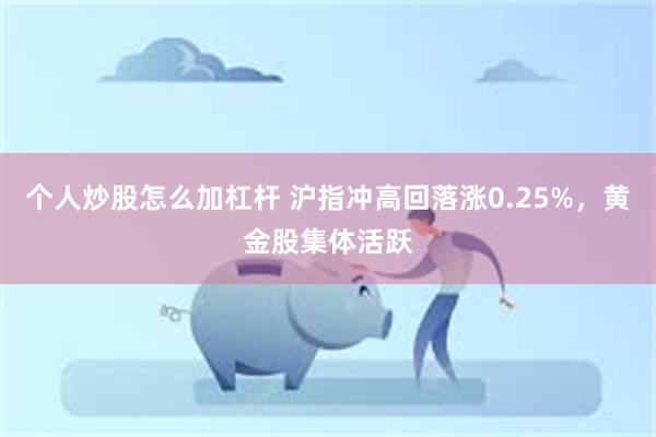 个人炒股怎么加杠杆 沪指冲高回落涨0.25%，黄金股集体活跃